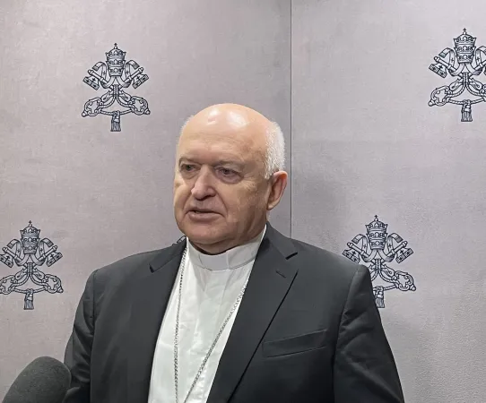 Il cardinale Laslo Nemet S.V.D. arcivescovo di Belgrado |  | AA