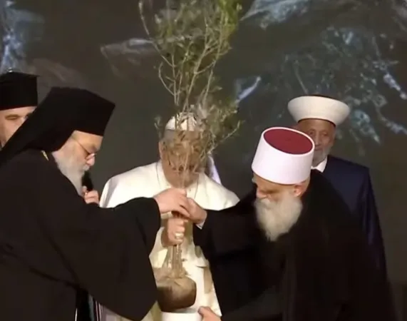 Il Papa piantuma l' olivo | | Vatican Media