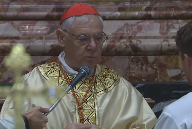 Il Cardinale Muller |  | Vatican Media