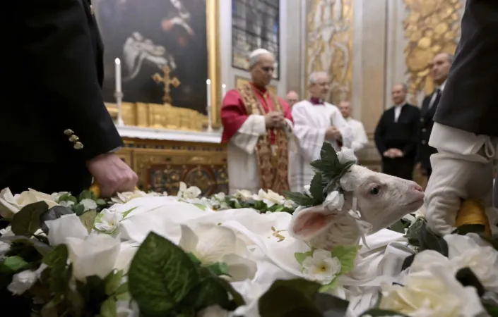 La cerimonia di Papa Leone XIV |  | Vatican Media