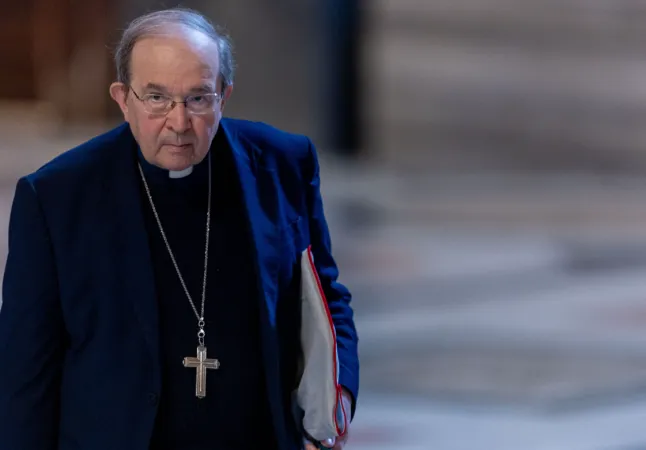 Il Cardinale Petrocchi |  | Daniel Ibanez EWTN