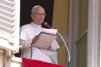 Papa Leone XIV / Credit Vatican Media