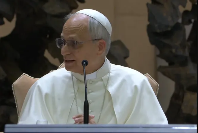 Il papa all'incontro di oggi pomeriggio | Il papa all'incontro di oggi pomeriggio | Credit Vatican Media