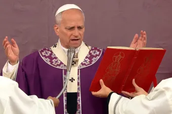 Papa Leone XIV alla Celebrazione di oggi / Credit Vatican Media