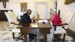 L'udienza di stamane / Credit Vatican Media