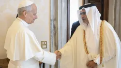 L'udienza di stamane / Credit Vatican Media