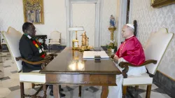 L'udienza di stamane / Credit Vatican Media