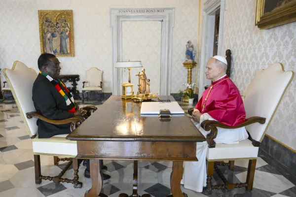 L'udienza di stamane / Credit Vatican Media