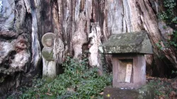 Una Vergine Maria in sembianze buddiste (statuette chiamate "Maria Kannon" dai Kakure Kirishitan o "cristiani nascosti"), su un albero in Giappone. / © Brian Adler / Flickr da Ad Extra