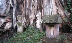 Una Vergine Maria in sembianze buddiste (statuette chiamate "Maria Kannon" dai Kakure Kirishitan o "cristiani nascosti"), su un albero in Giappone. / © Brian Adler / Flickr da Ad Extra