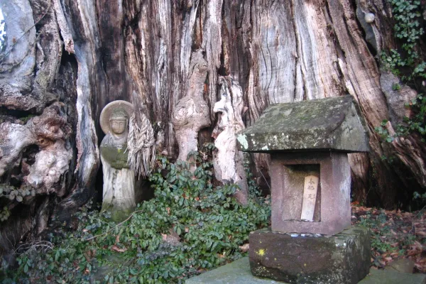 Una Vergine Maria in sembianze buddiste (statuette chiamate "Maria Kannon" dai Kakure Kirishitan o "cristiani nascosti"), su un albero in Giappone. / © Brian Adler / Flickr da Ad Extra