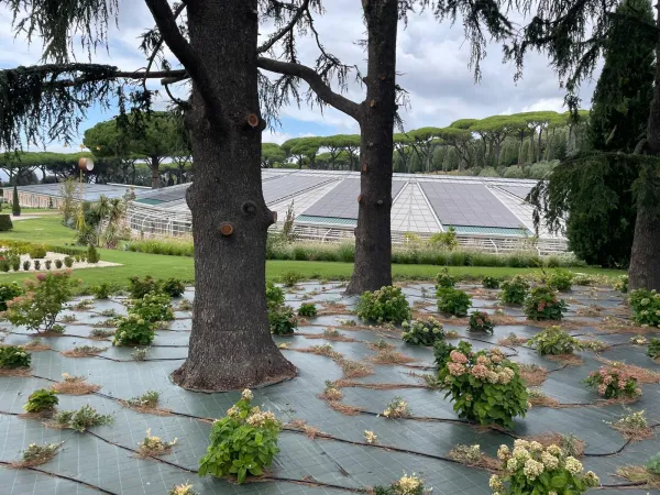 La serra del Borgo Laudato sì |  | Acistampa